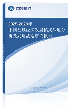 2025-2029Їh(jng)l(f)չģʽȷl(f)չ(zhn)о