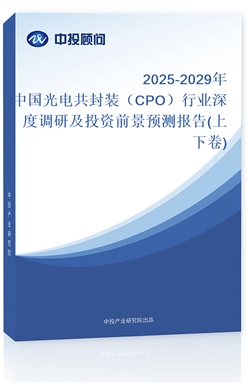 2025-2029Ї늹bCPOИI(y){мͶYǰAy(¾)