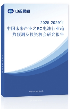 2025-2029Їδa(chn)I(y)֮BC늳ИI(y)څ(sh)A(y)y(c)ͶYC(j)(hu)о(bo)