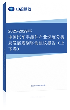 2025-2029Ї(gu)܇(ch)㲿a(chn)I(y)ȷl(f)չҎ(gu)ԃ(xn)h(bo)棨¾